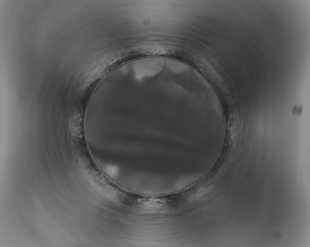 X0000111440359200907271135