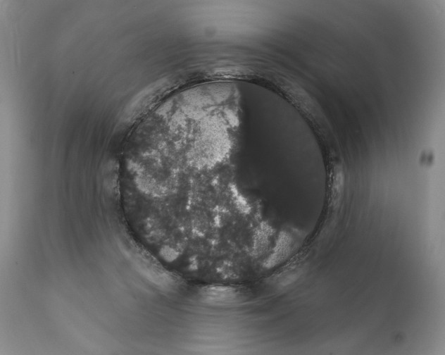 X0000111440361200907271135