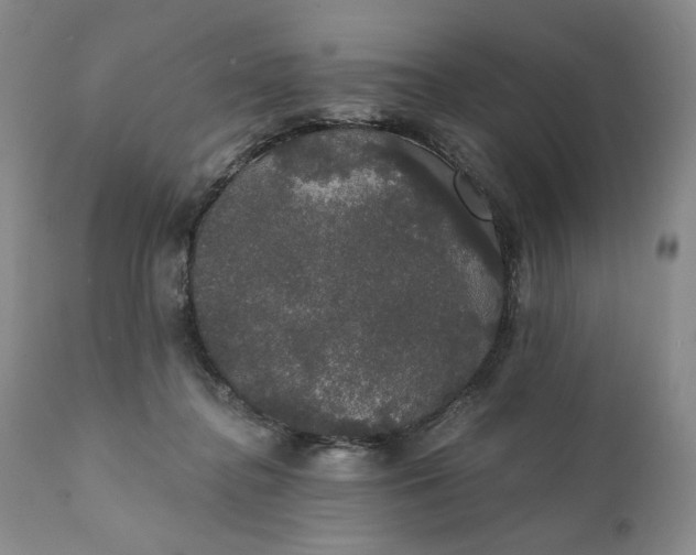 X0000111440364200907271135