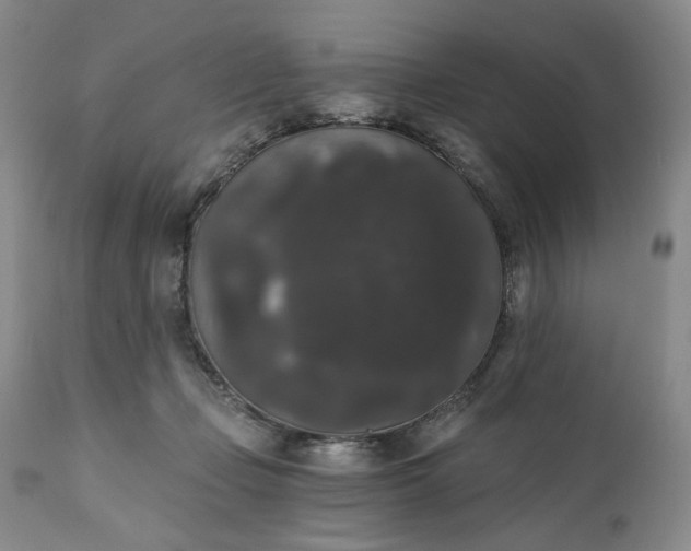 X0000111440365200907271135