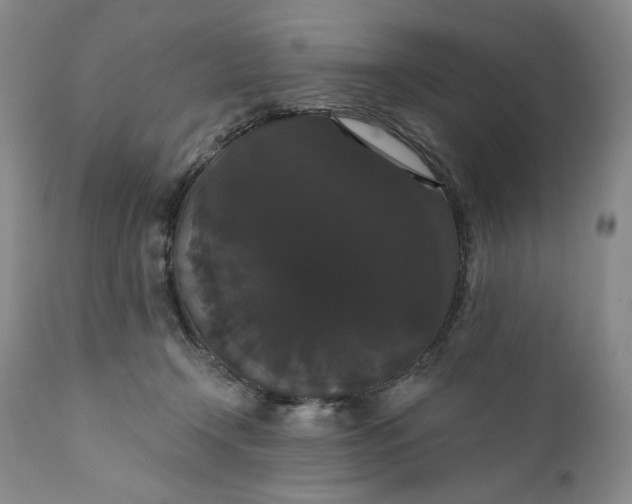 X0000111440366200907271135