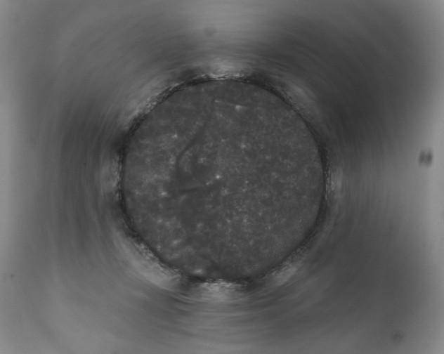 X0000111440367200907271135