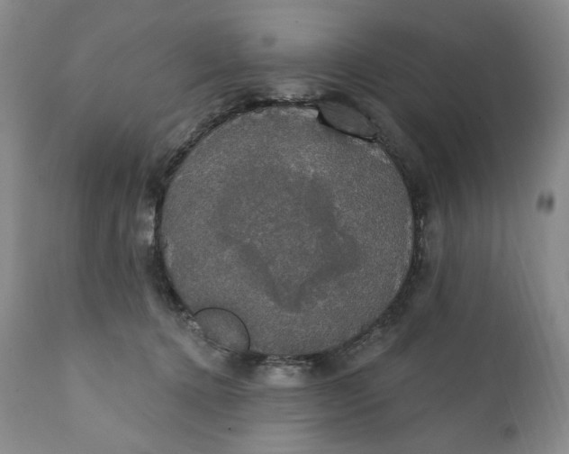 X0000111440368200907271135