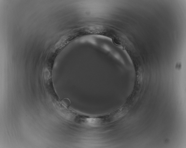 X0000111440371200907271135