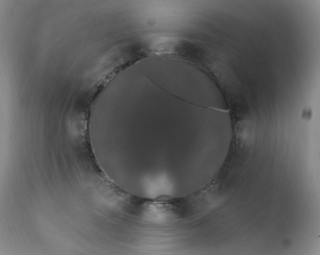 X0000111440372200907271136