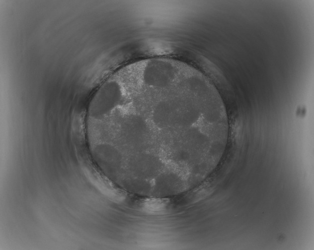 X0000111440373200907271136