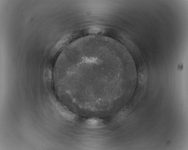 X0000111440375200907271136