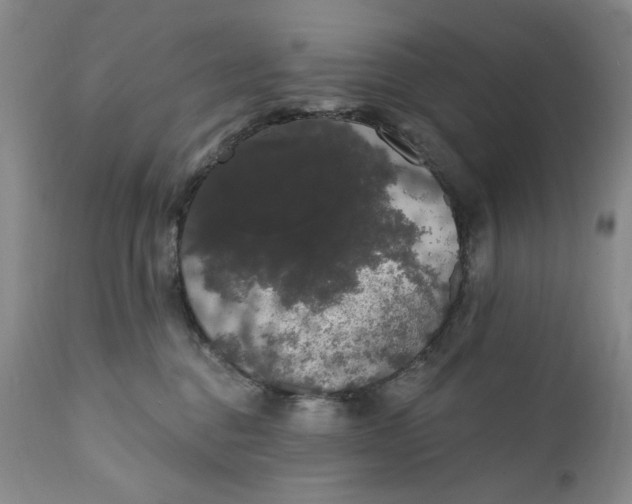 X0000111440376200907271136