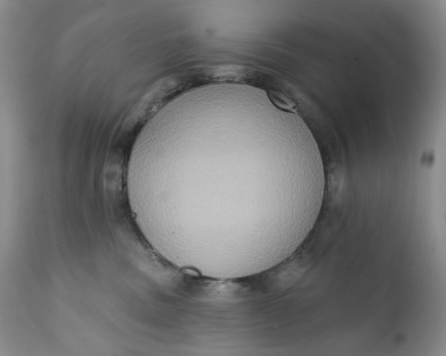 X0000111440379200907271136