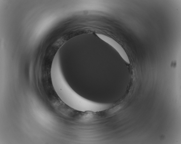 X0000111440382200907271136