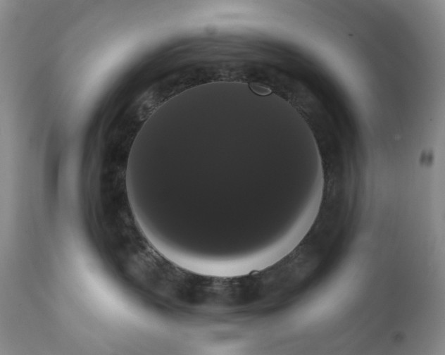 X0000111440383200907271136