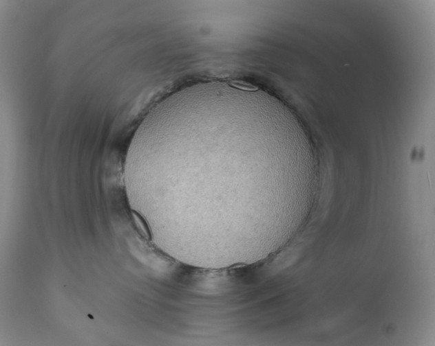 X0000111440384200907271136