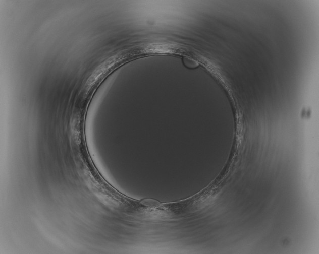 X0000111440386200907271135