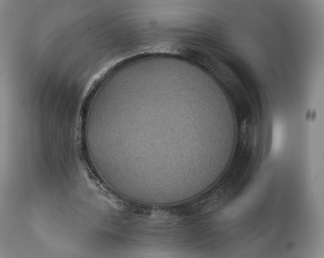 X0000111440388200907271135