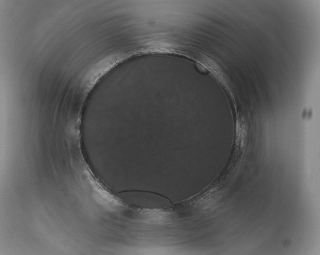 X0000111440389200907271135