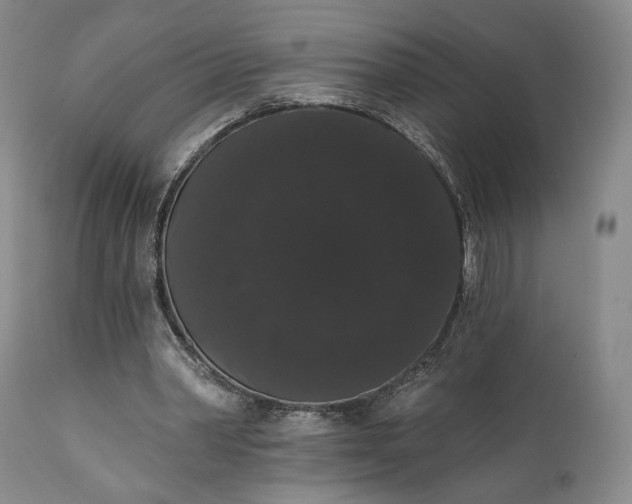 X0000111440390200907271135