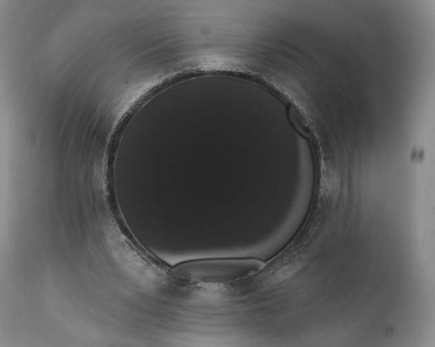 X0000111440391200907271135