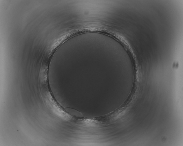 X0000111440393200907271135