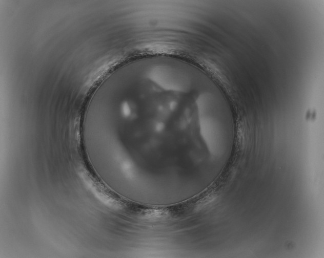 X0000111440398200907271135