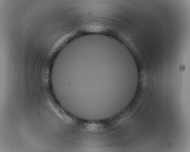 X0000111440400200907271135