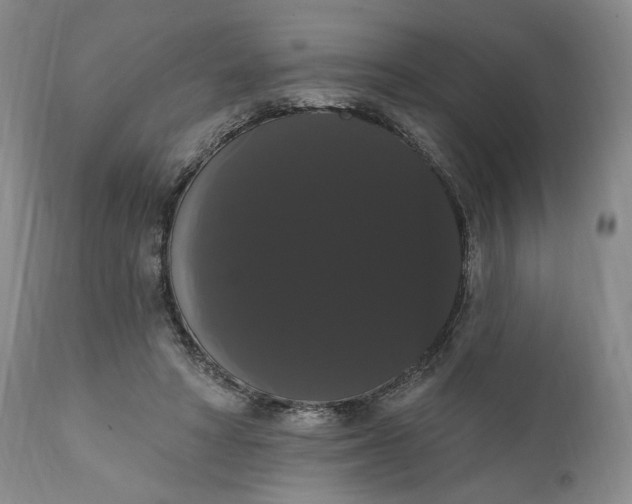 X0000111440402200907271135