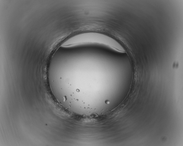 X0000111440403200907271135