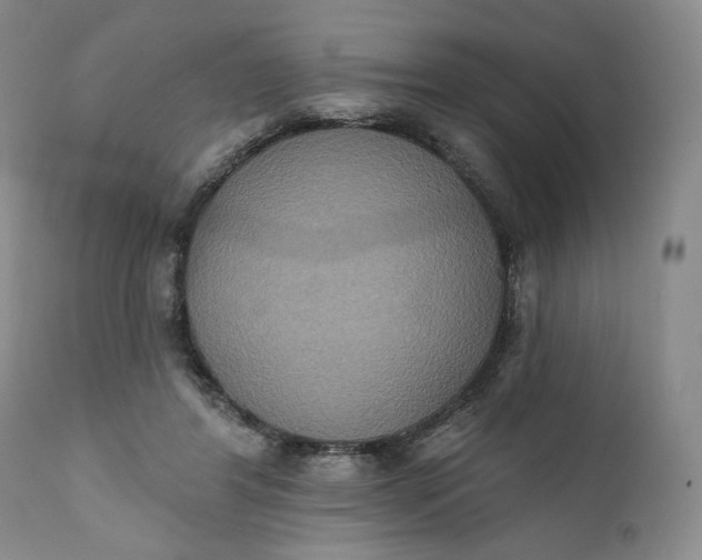 X0000111440404200907271135