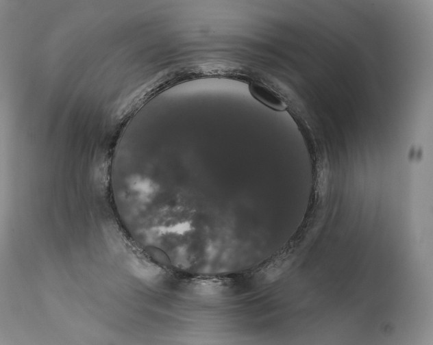 X0000111440405200907271135