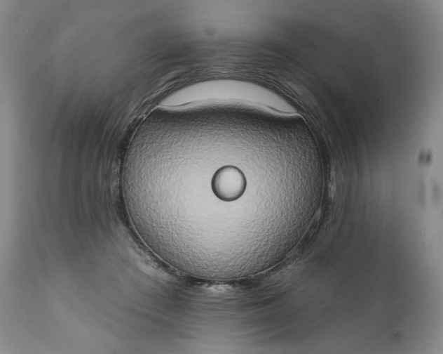 X0000111440409200907271135