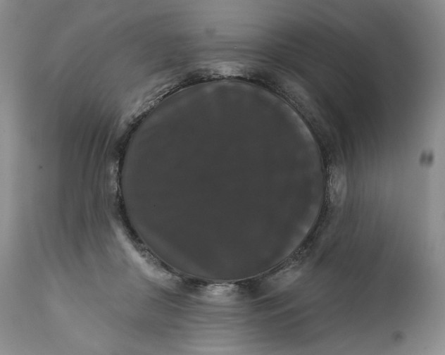 X0000111440410200907271134