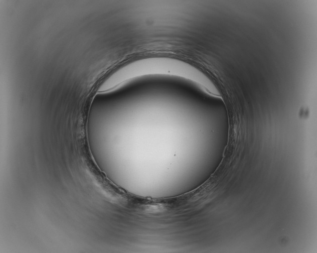 X0000111440411200907271134