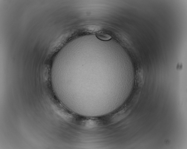 X0000111440412200907271134