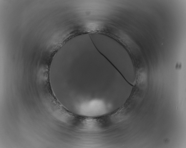 X0000111440413200907271134