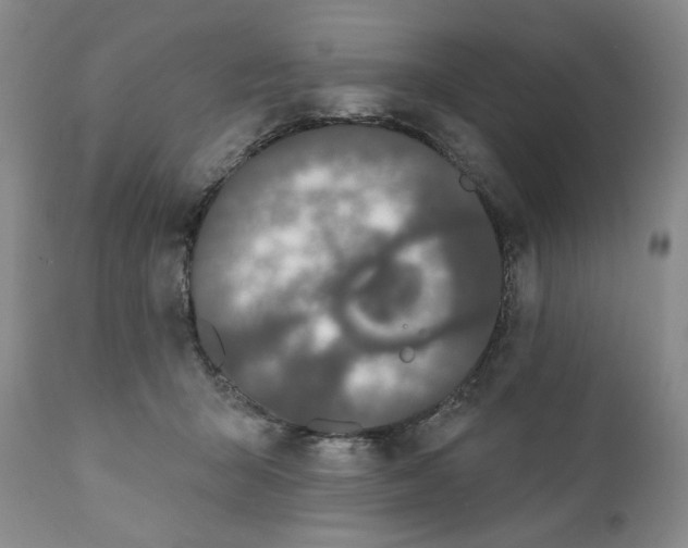 X0000111440415200907271134