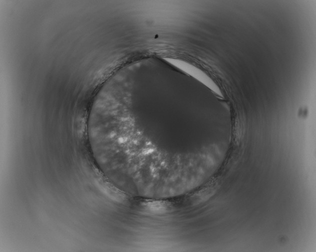 X0000111440417200907271134