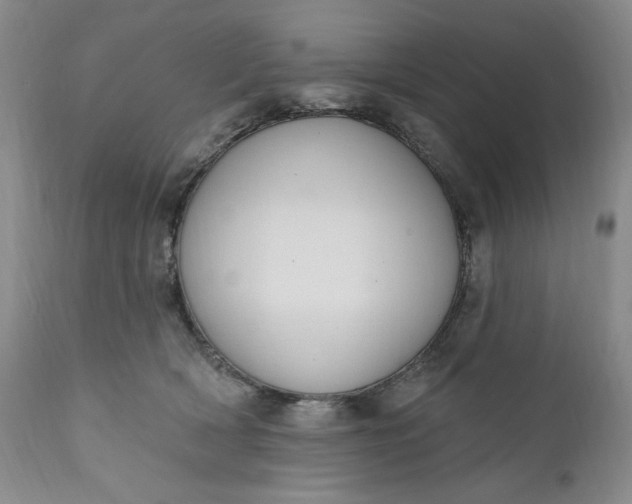 X0000111440418200907271134