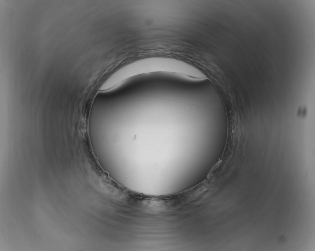 X0000111440419200907271134