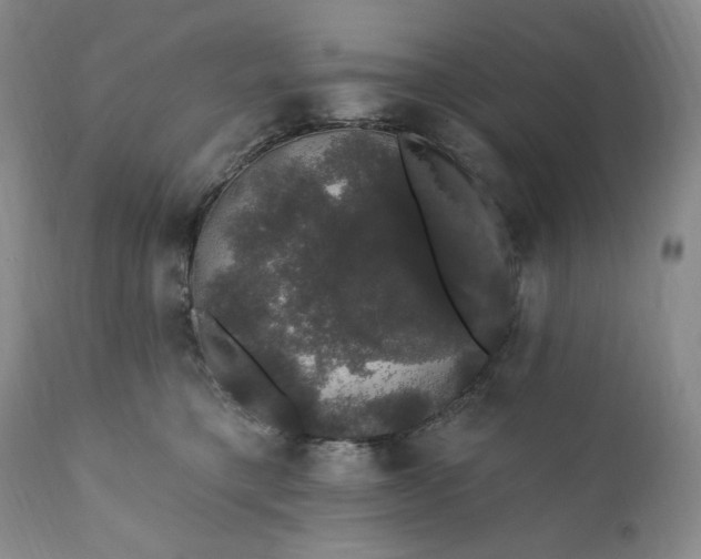 X0000111440421200907271134