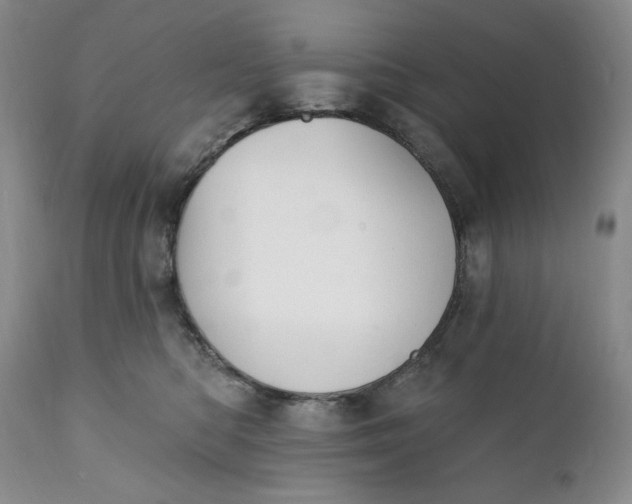 X0000111440422200907271134