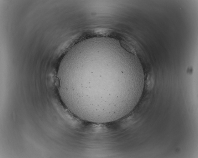 X0000111440424200907271134