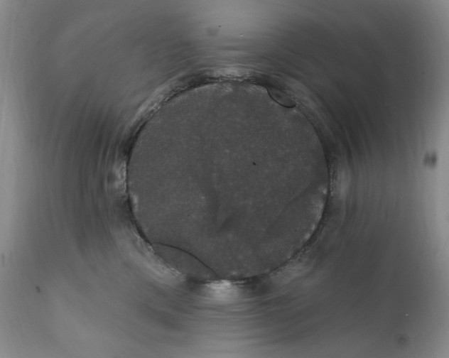 X0000111440425200907271134