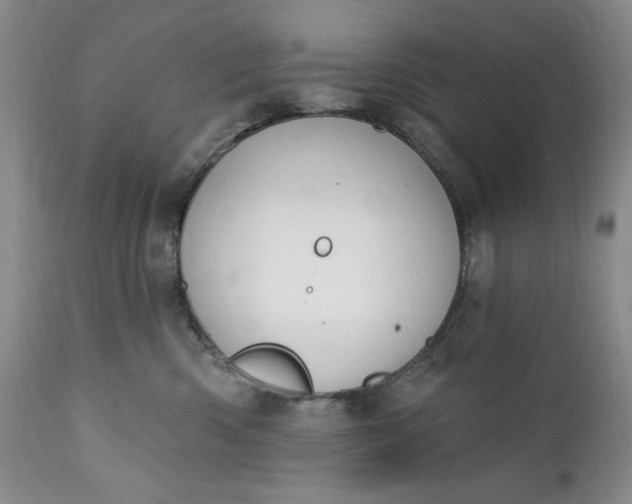 X0000111440426200907271134