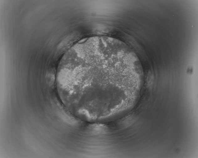 X0000111440427200907271134