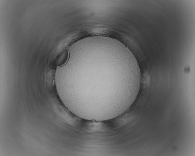 X0000111440428200907271134