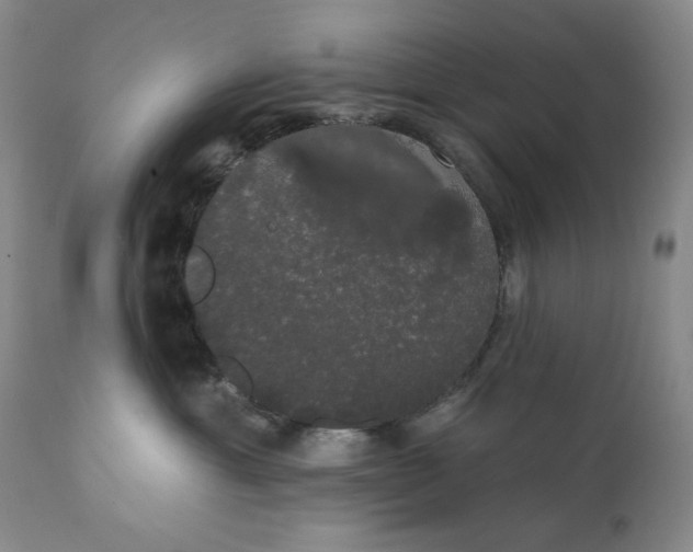 X0000111440429200907271134