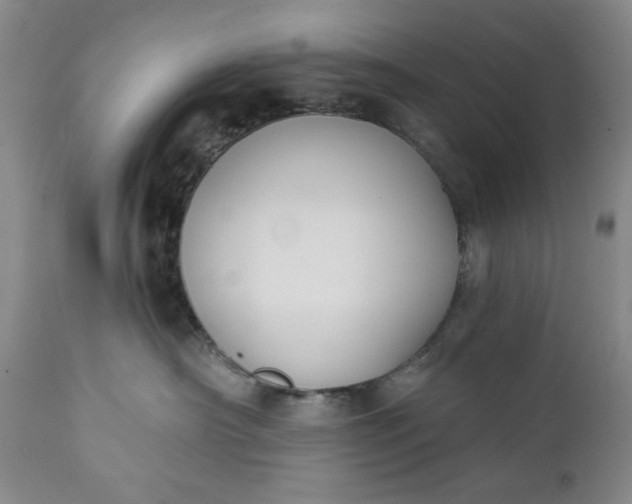 X0000111440430200907271134