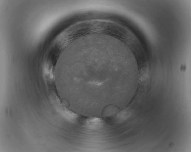 X0000111440431200907271134