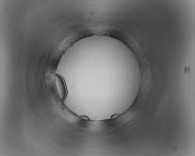 X0000111440432200907271134