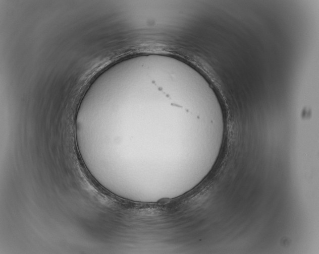 X0000111440433200907271133