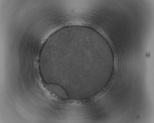 X0000111440434200907271133